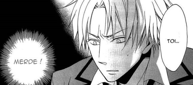 {MANGA REVIEW} Houou Gakuen Misoragumi