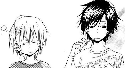 {MANGA REVIEW} Houou Gakuen Misoragumi